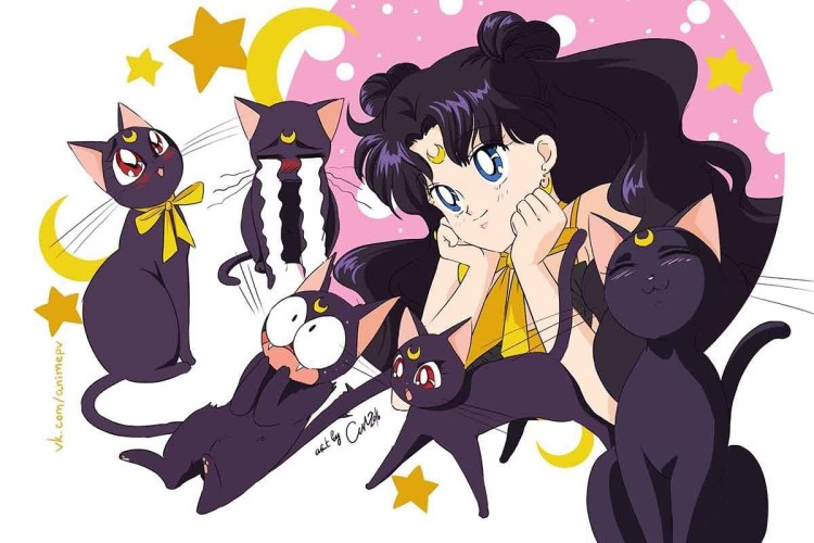 Сейлормун кошка Луна