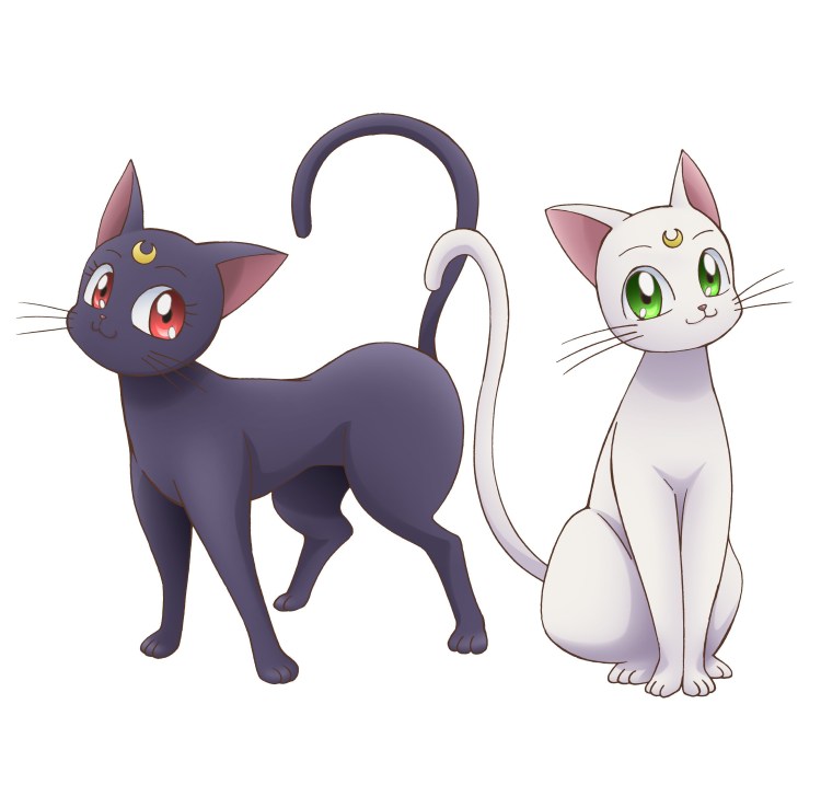 Sailor Moon Луна кошка