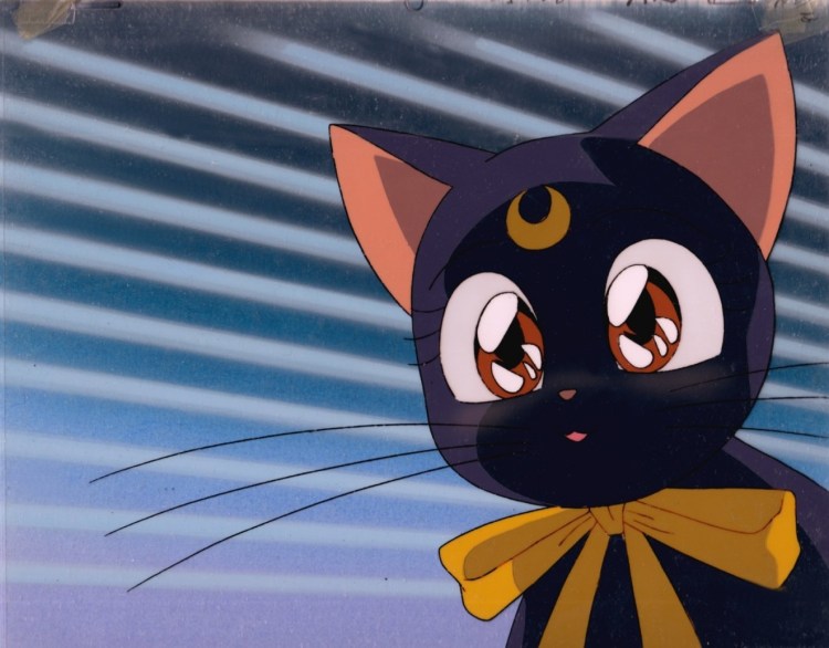 Кошка Луна из Сейлор Мун