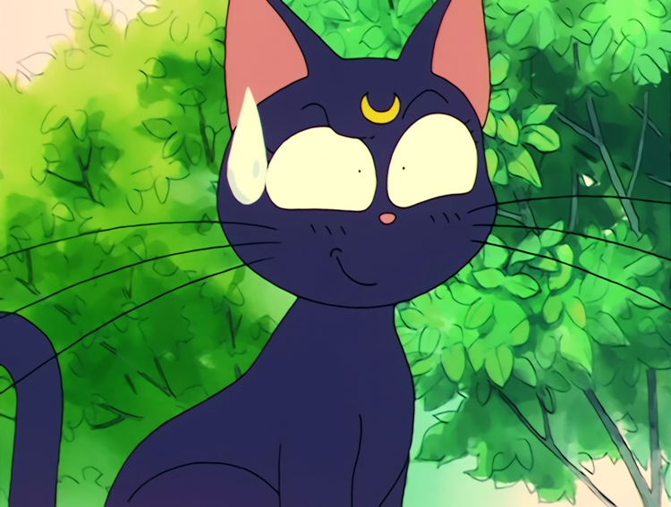Sailor Moon Луна кошка