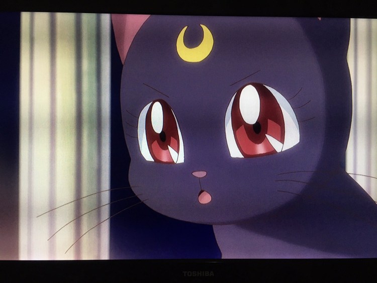 Артемис сейлормун