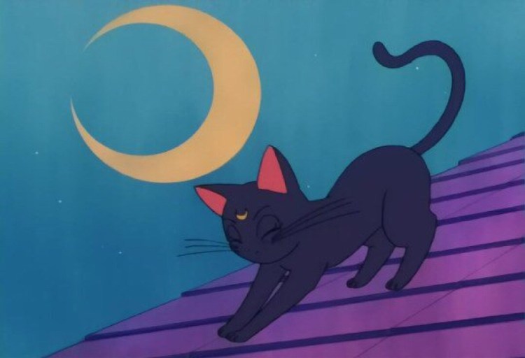 Сейлормун кошка Луна