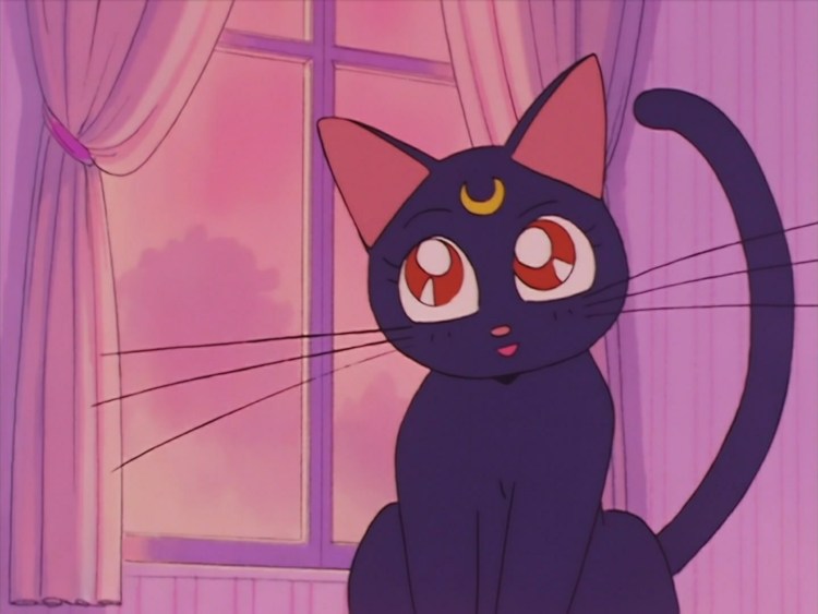 Сейлормун кот