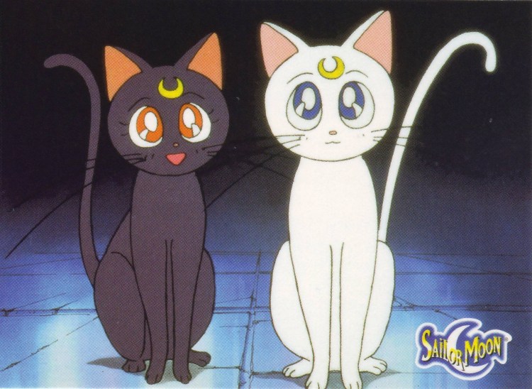 Сейлормун кошка Луна