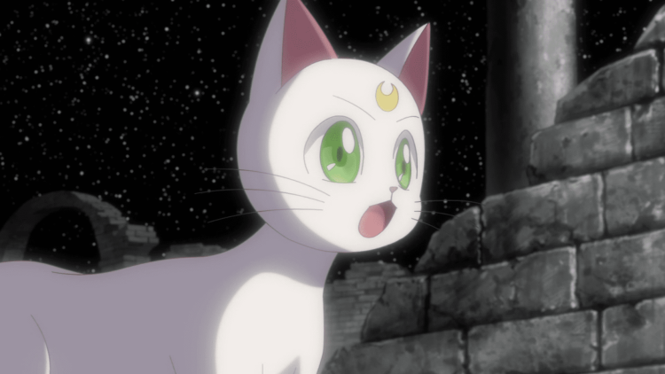 Сейлормун кот Луна