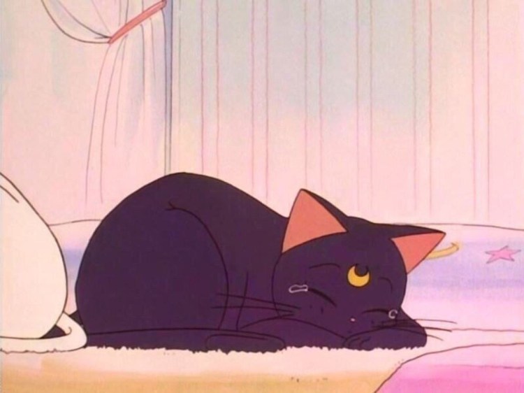 Sailor Moon Луна кошка