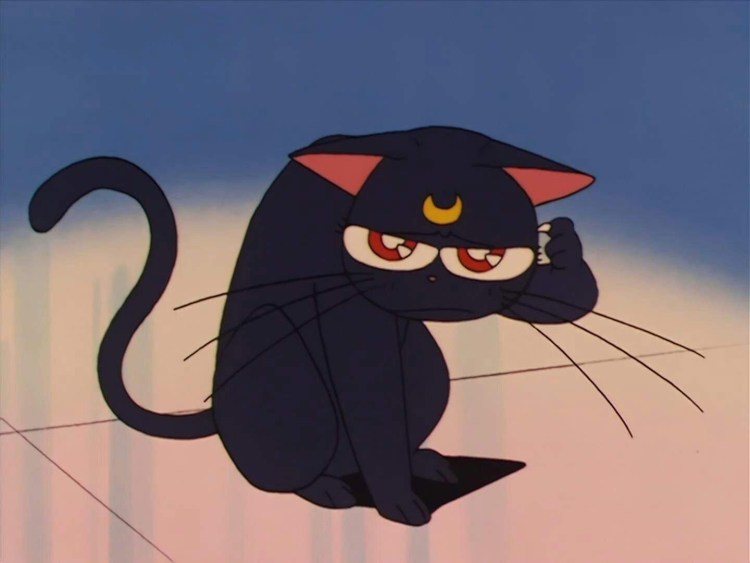Sailor Moon Луна Артемис и Диана кошки