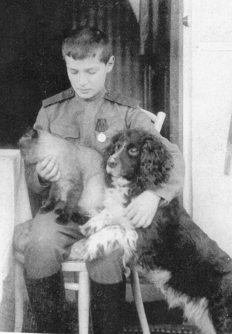 Порода собак японский Хин