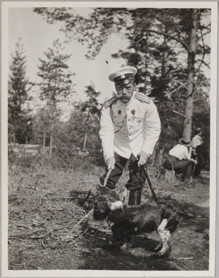 Царская охотничья собака