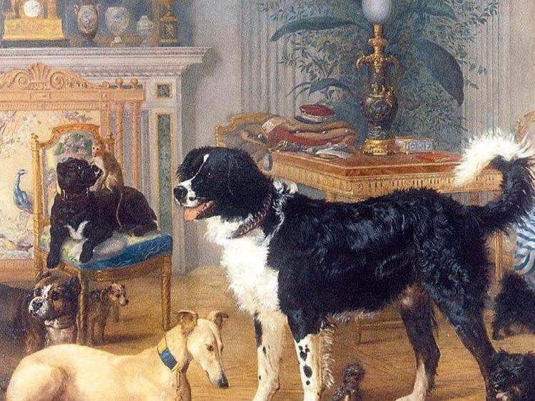 Самая гламурная собака