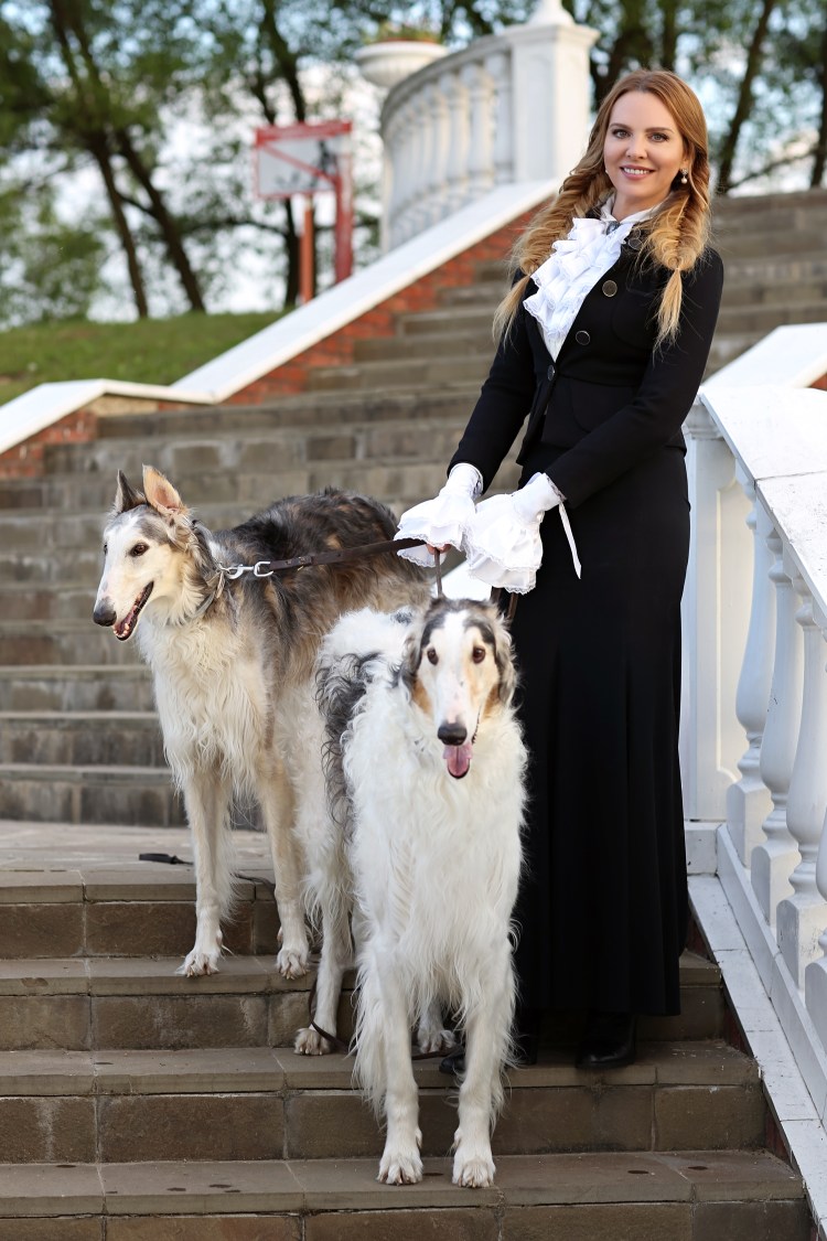Тибетский спаниель и Пекинес
