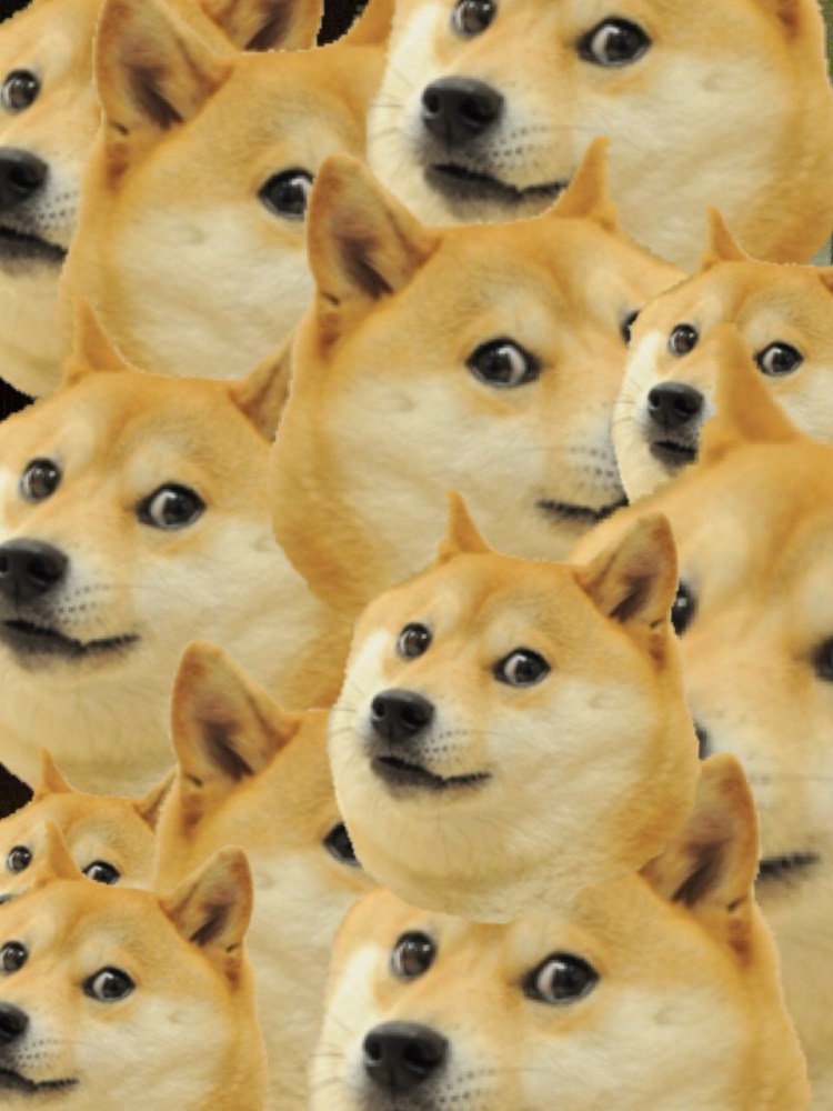 Шиба ину Doge