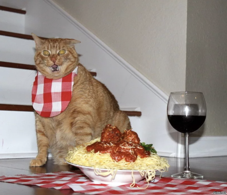 Колбаса для кошек