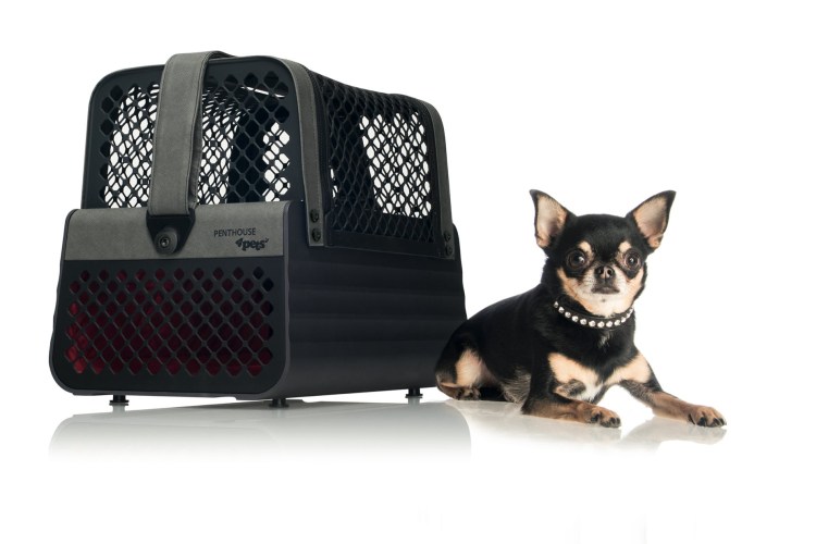 Переноска Caruter Pet Carrier + car т