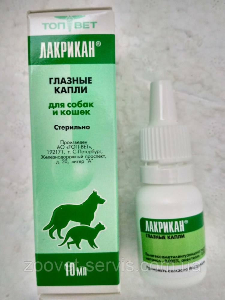 Закапывание в глаза кошке