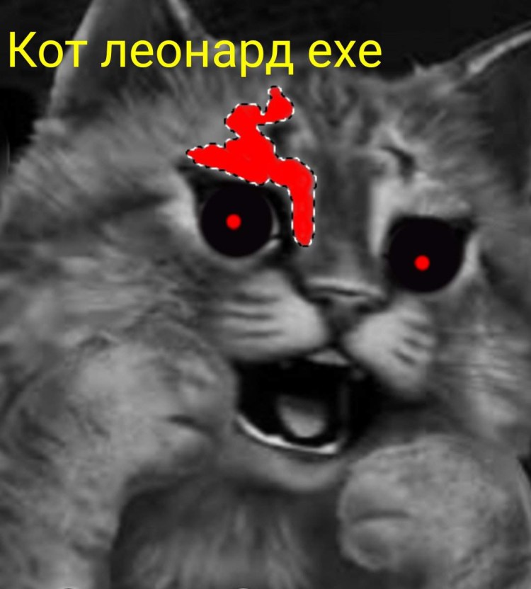 Кот Леонард мемы