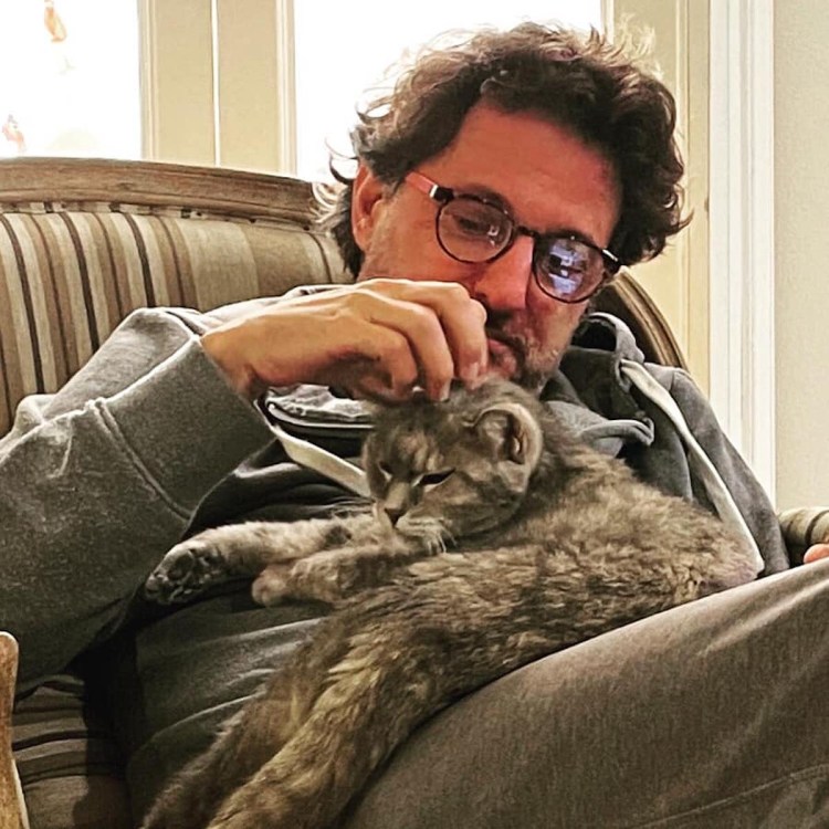 Кошка Лана и Йоши и Лео