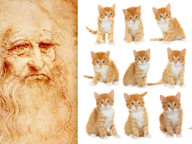 Вязаный дом для кошки Леонардо