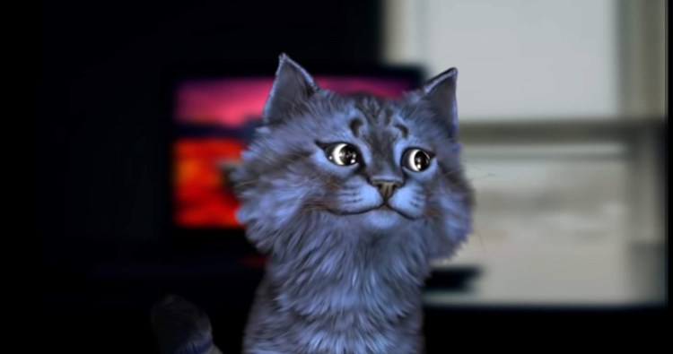 Леонард зэ Кэт