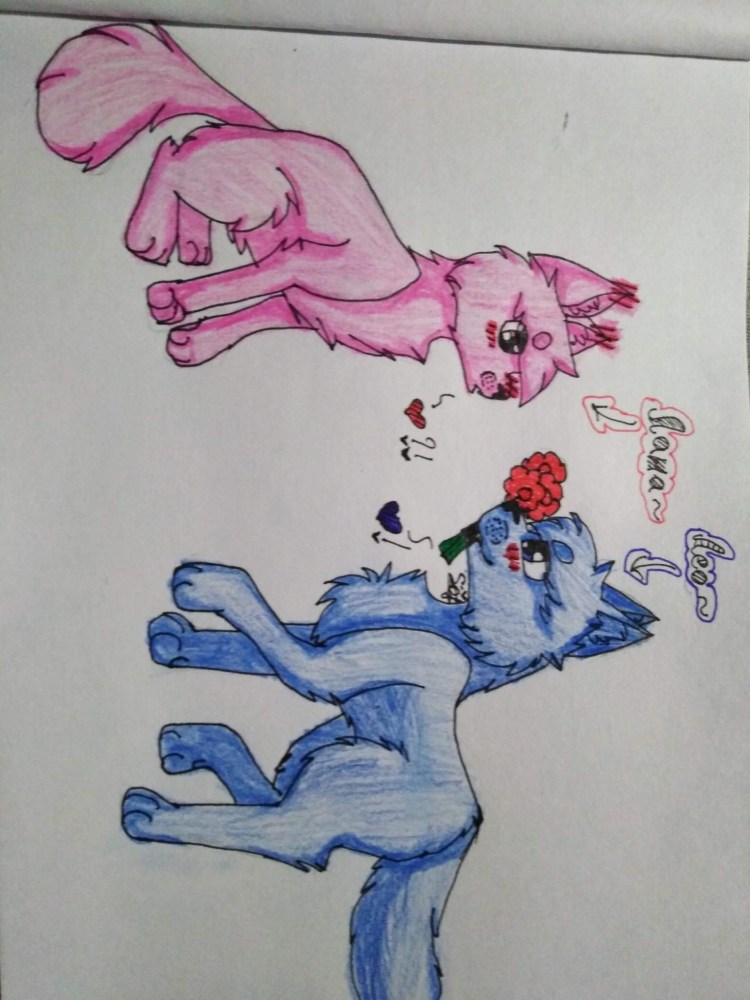 Миролюбивый кот