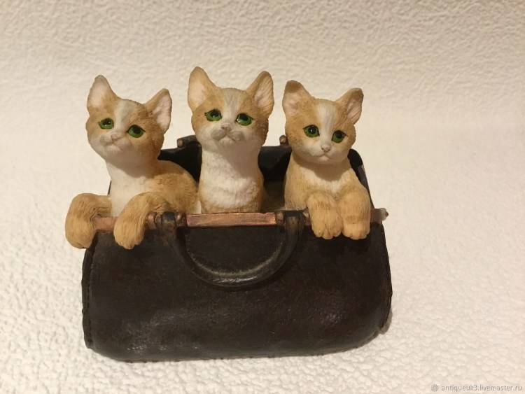 Кот ди Каприо