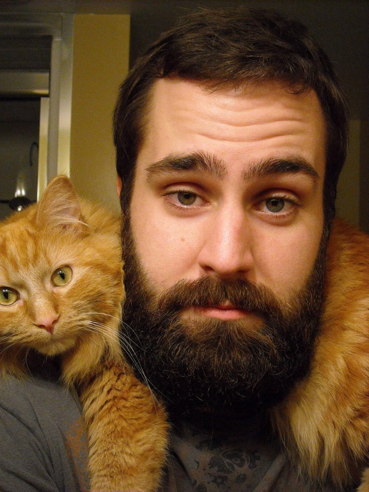 Витрувианский кот да Винчи