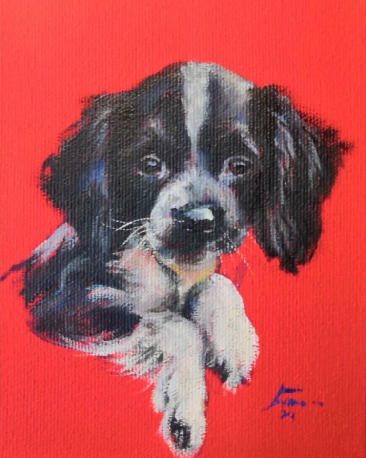 Стол для собак для еды