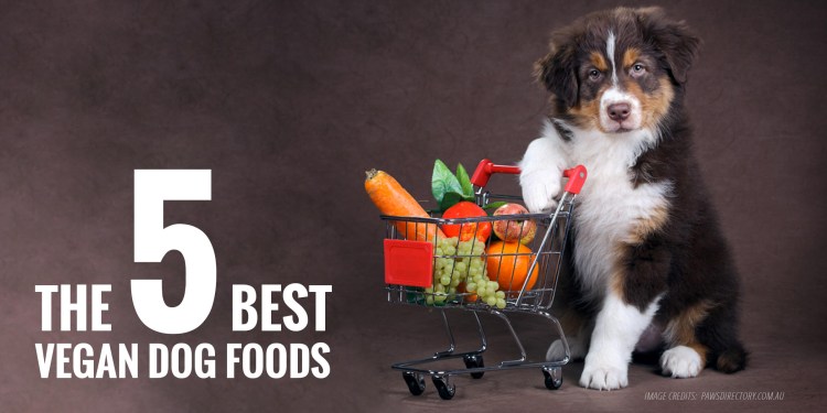 Подойду к людям волк