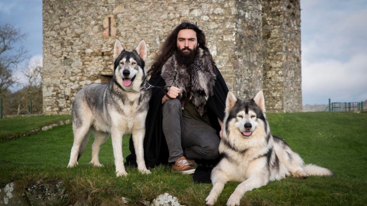 Северный инуит собака