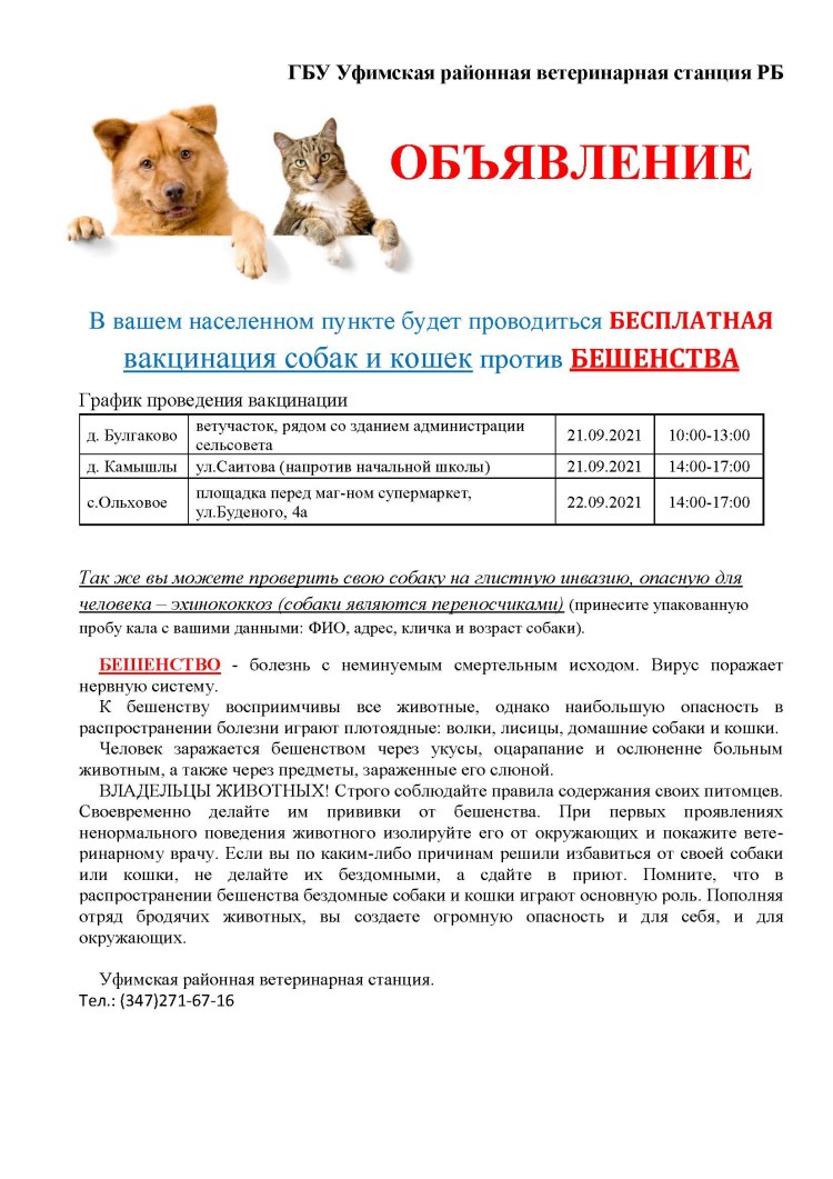 Бесплатная вакцинация собак и кошек