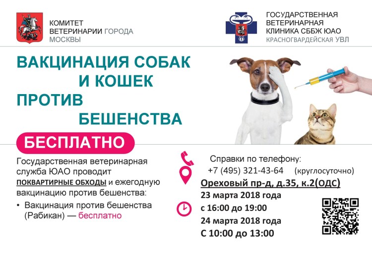 Вакцинация собак и кошек