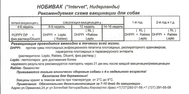 График прививок Нобивак для щенков