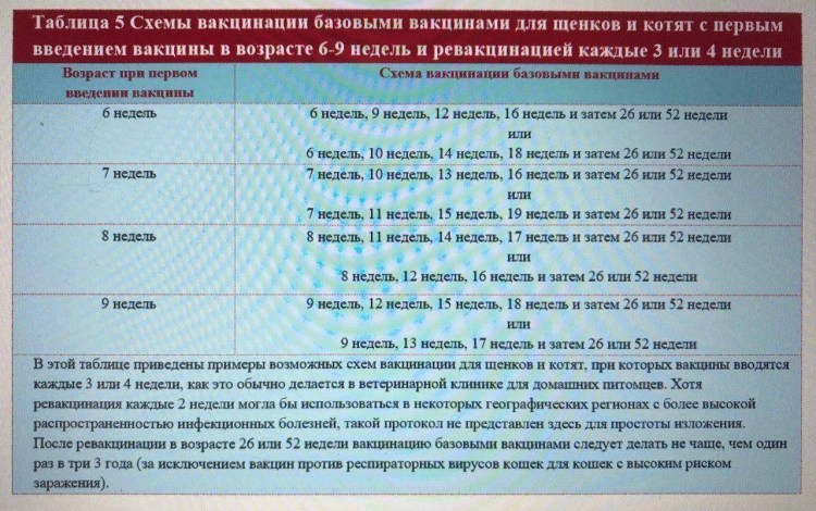 Прививка щенкам по возрасту таблица