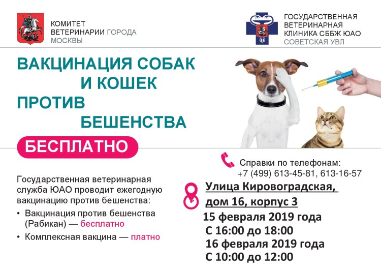 Вакцинация собак и кошек против бешенства