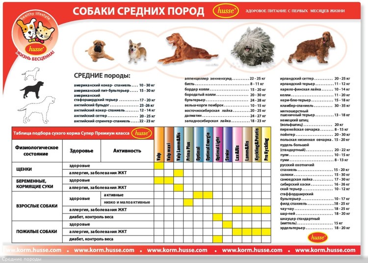 Прививки корги по возрасту таблица