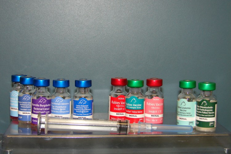 Вакцины для животных