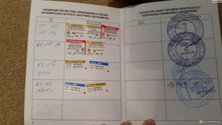 Прививки для щенка немецкой овчарки