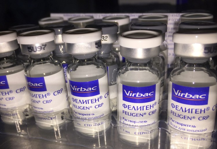 Вакцина для собак российского производства
