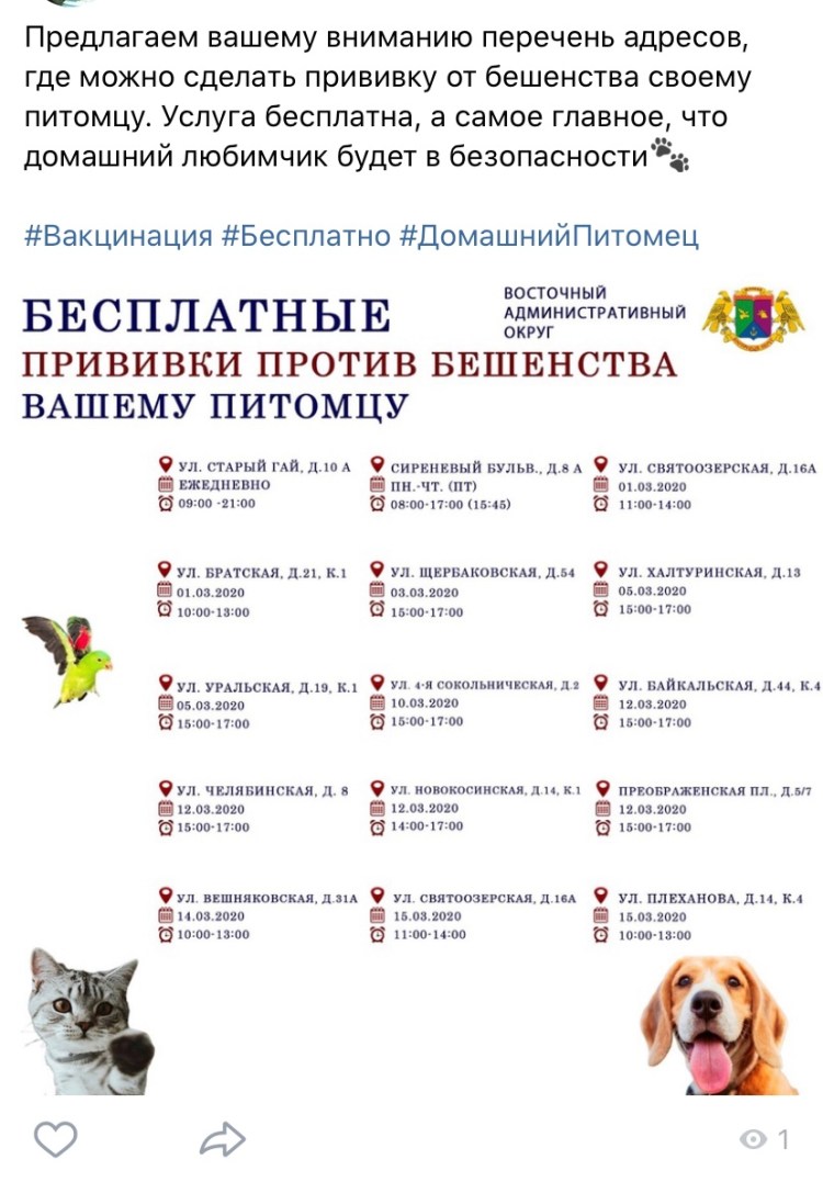 График прививок для щенков французского бульдога