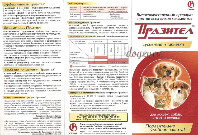 Обработка от глистов собак схема