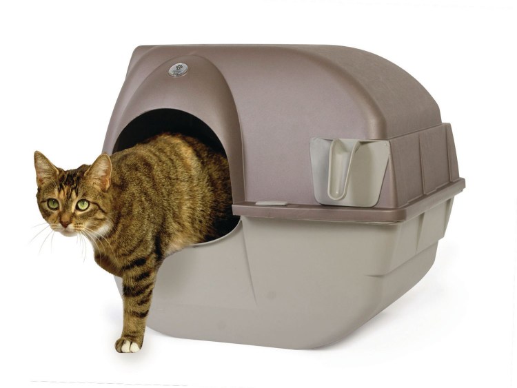 Лоток  clean self Cleaning Cat Litter Box, large