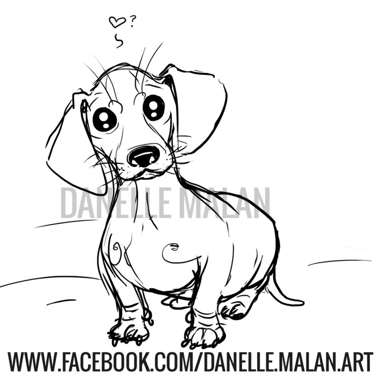 Вислоухая такса