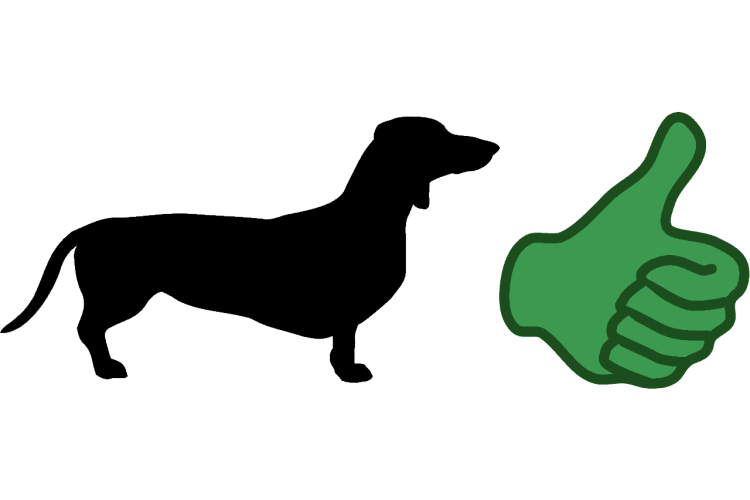 Такса раскраска для детей