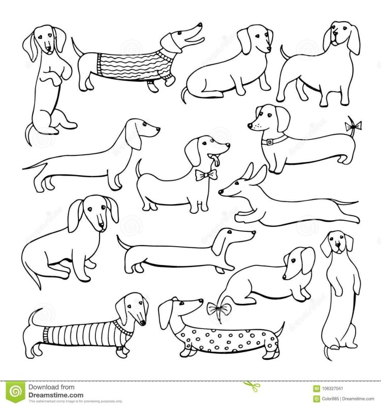 Такса векторный рисунок