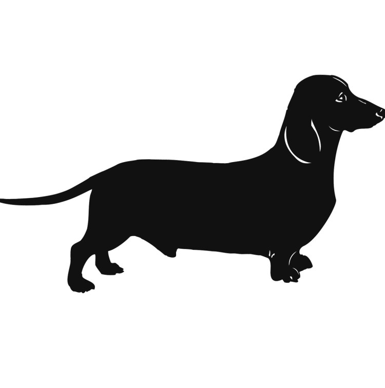 Такса черно белая