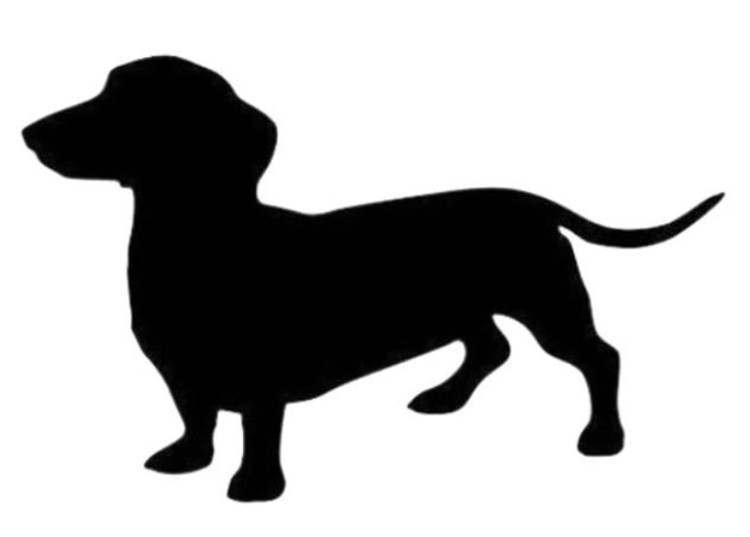 Редмер Хекстра