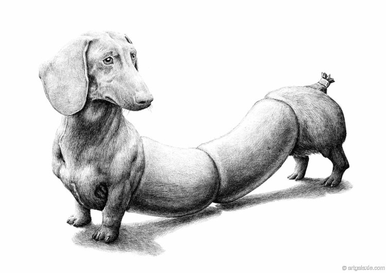 Контур одной линией собака