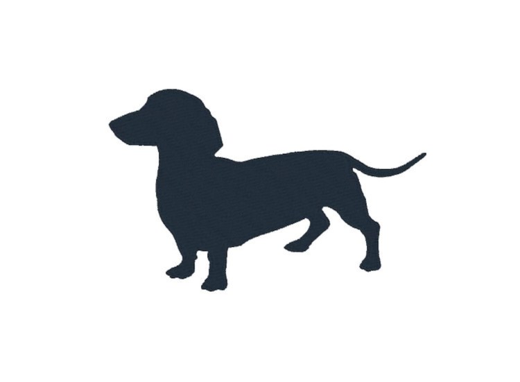 Мордочка таксы раскраска