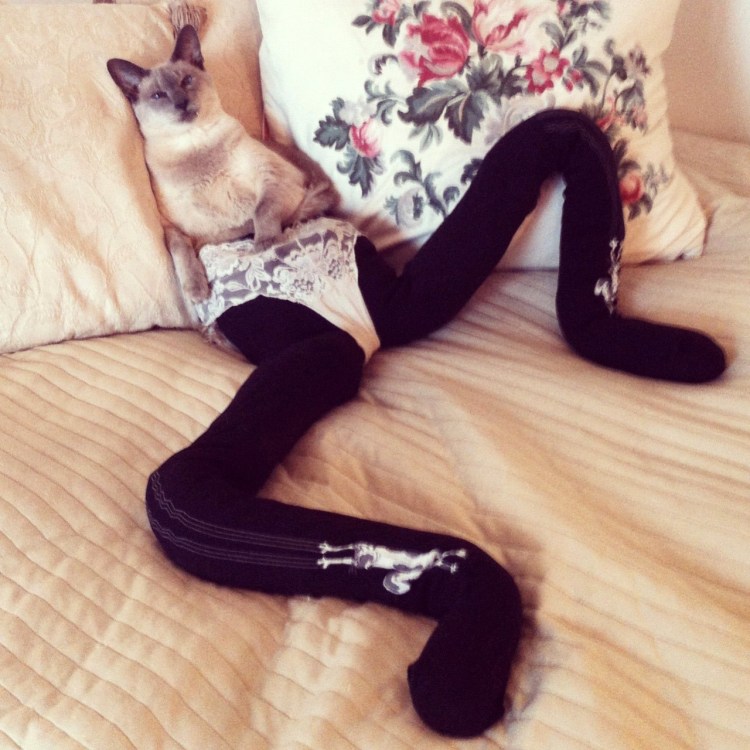 Omron тросовый выключатель er6022