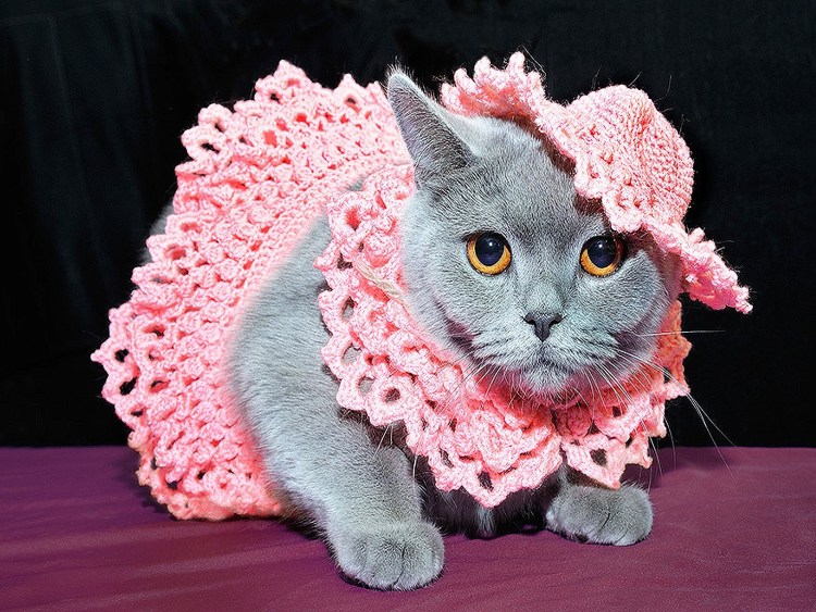 Валяние из шерсти игрушки